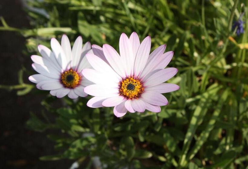 צימר St Marguerite