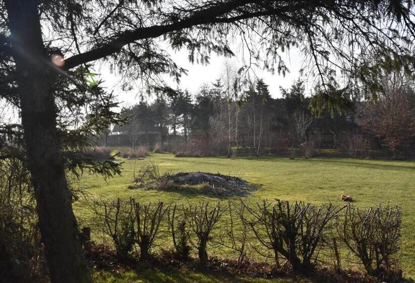 Bed and Breakfast Sunset Bed & No Breakfast