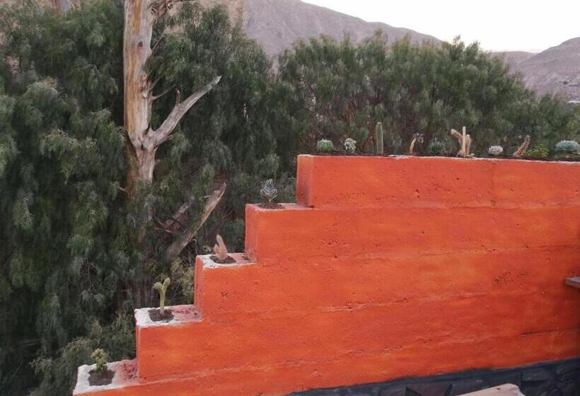 ベッドアンドブレックファースト Tilcara Hostel