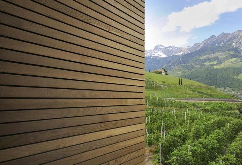 Bio & Wellnesshotel Pazeider   Healing Garden Above Meran