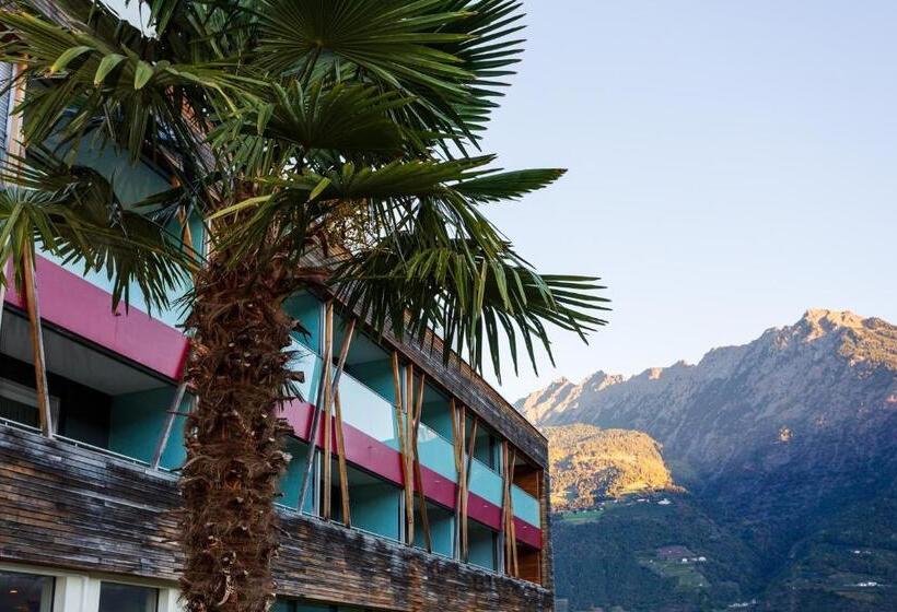 Bio & Wellnesshotel Pazeider   Healing Garden Above Meran