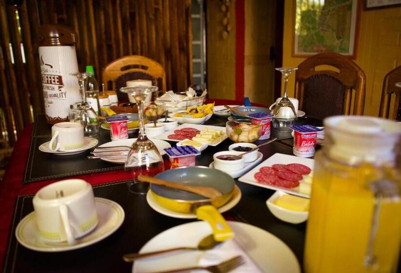 Casa Roble Añejo Bed & Breakfast