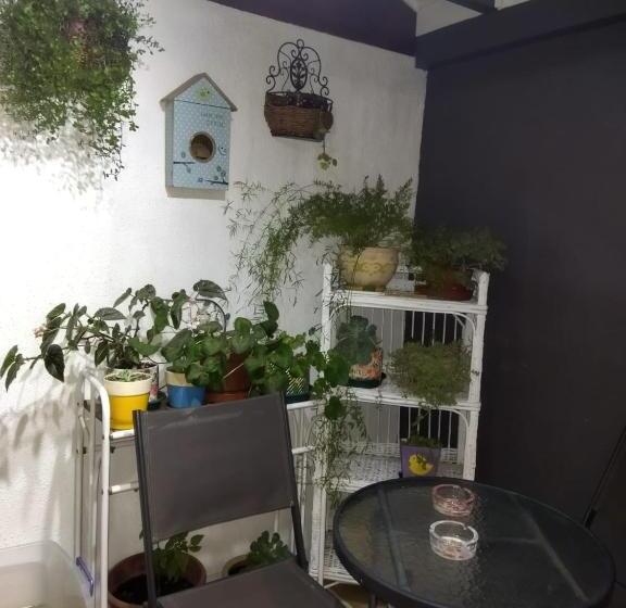 Casa Roble Añejo Bed & Breakfast