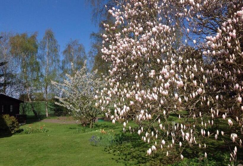 Dyrlev Bed & Breakfast