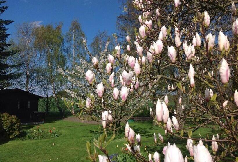 Dyrlev Bed & Breakfast