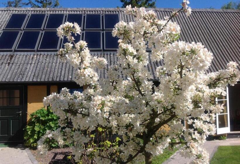 Dyrlev Bed & Breakfast