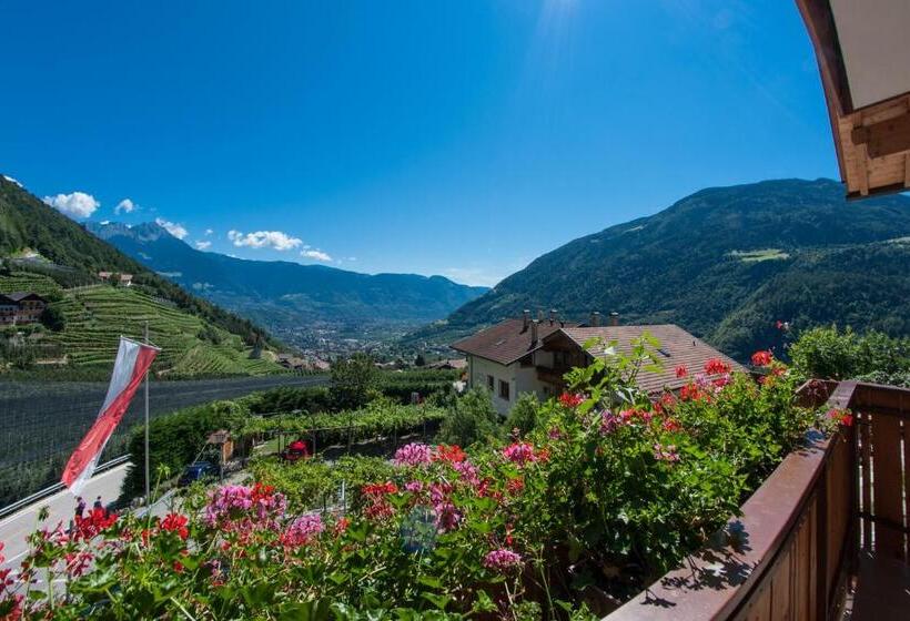 בית מלון כפרי Am Sonneck