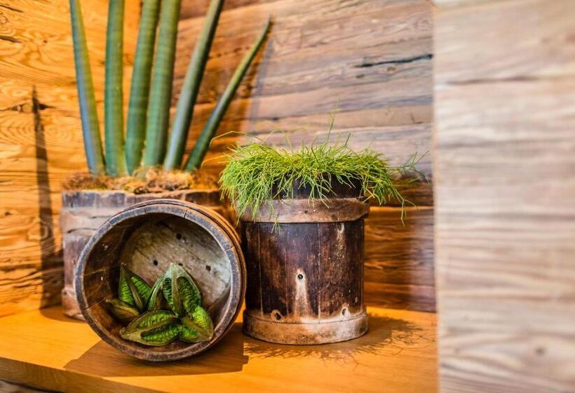 בית מלון כפרי Am Sonneck