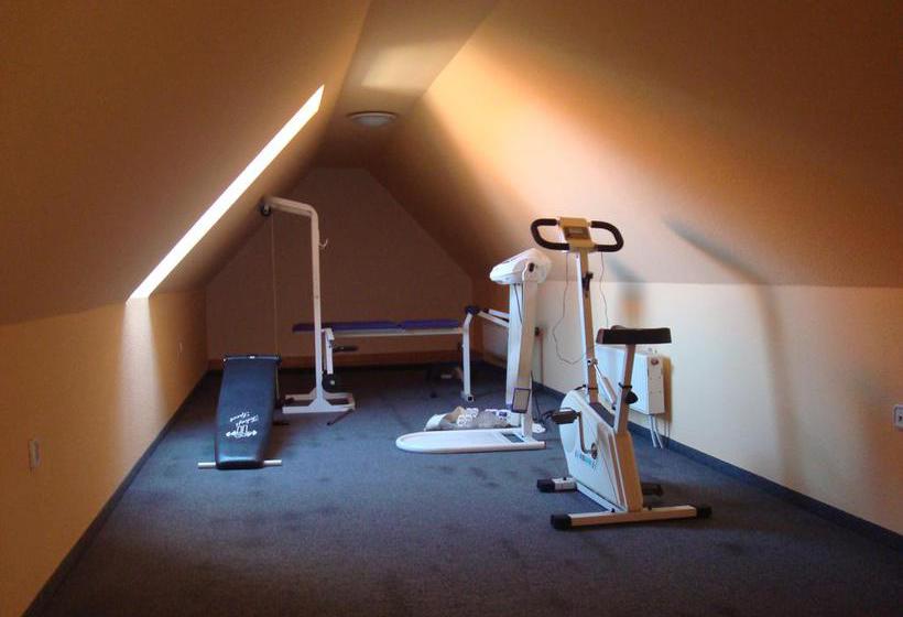 בית מלון כפרי Arany Trófea