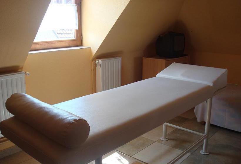 בית מלון כפרי Arany Trófea