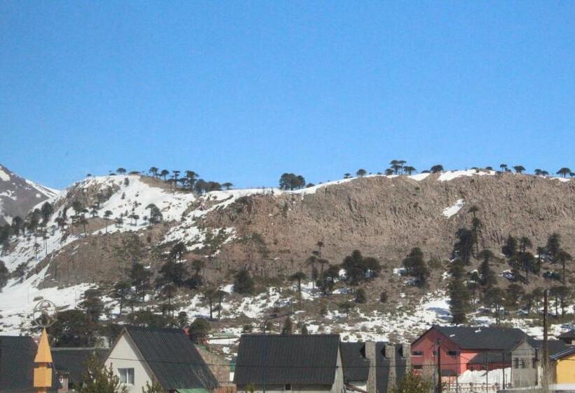 ホテル Arquimedes