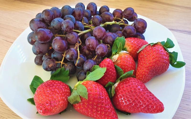 酒店 Austria Stuttgartcity