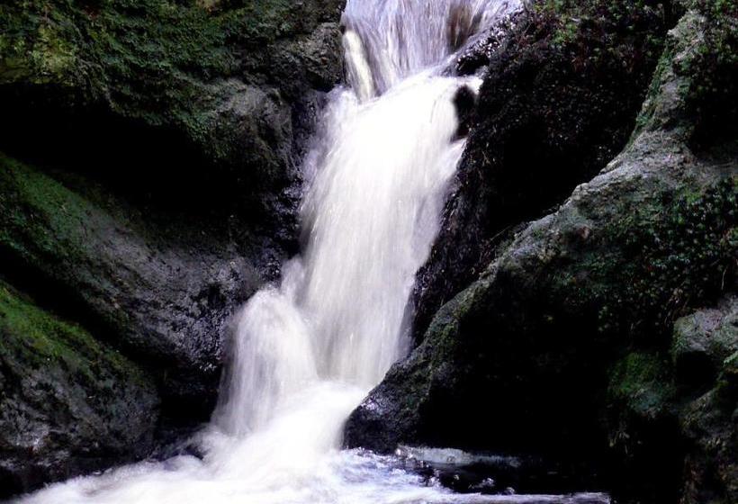 호텔 Bayernstern Ihr Wander & Wohlfühl