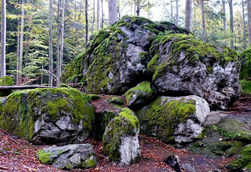 호텔 Bayernstern Ihr Wander & Wohlfühl