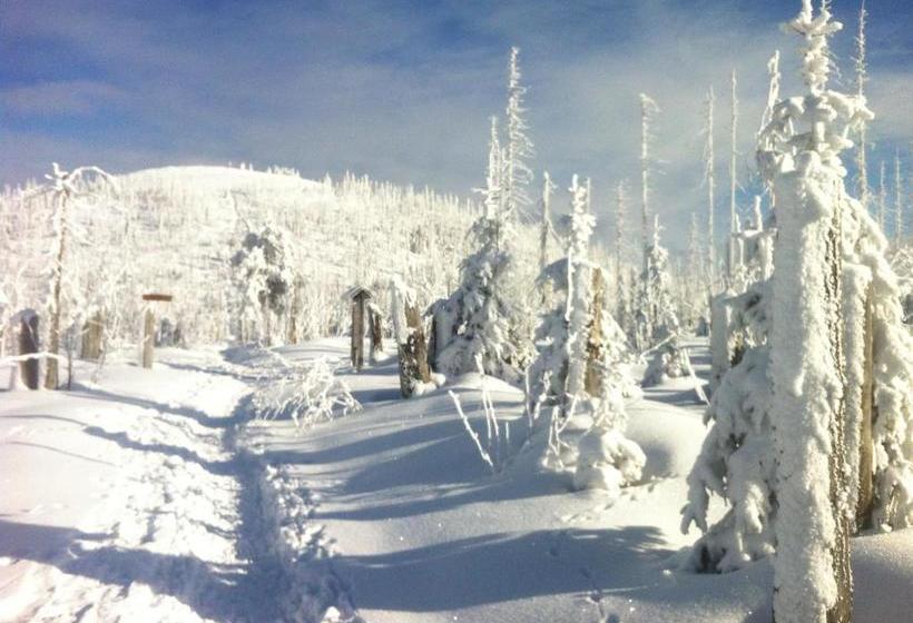 호텔 Bayernstern Ihr Wander & Wohlfühl