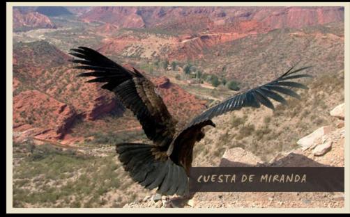 هتل Pircas Negras