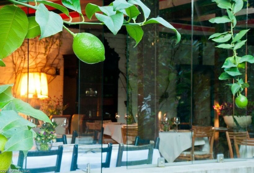 فندق Casa Limón