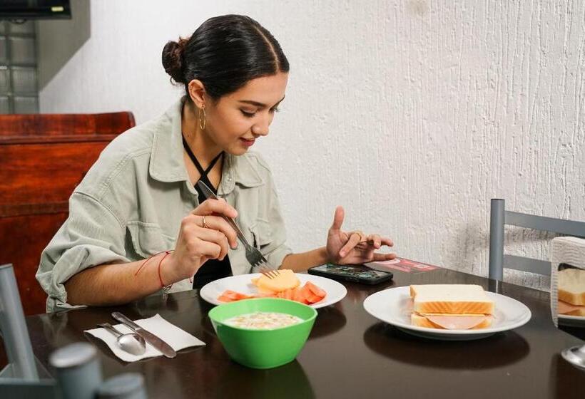 酒店 Central Teziutlan