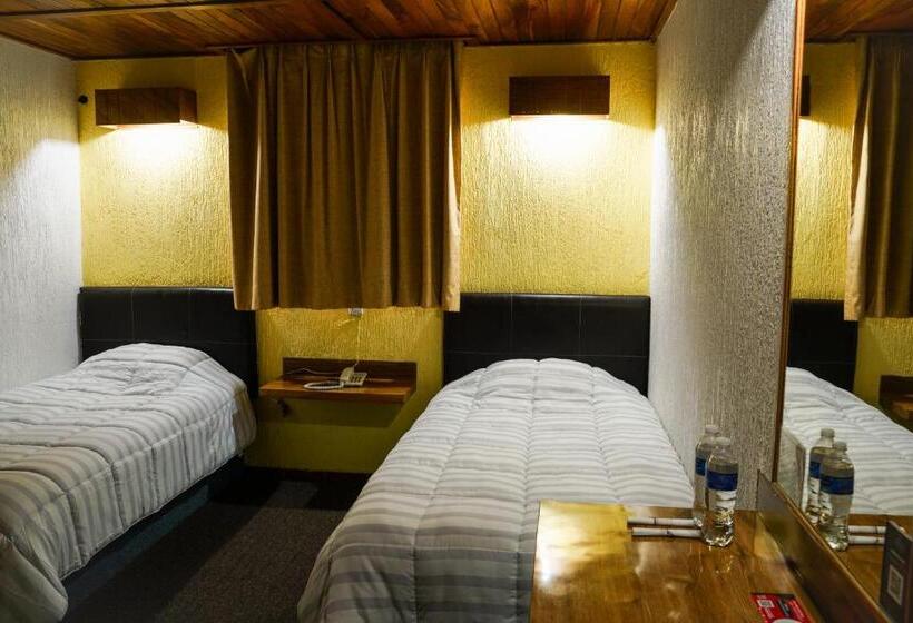 酒店 Central Teziutlan