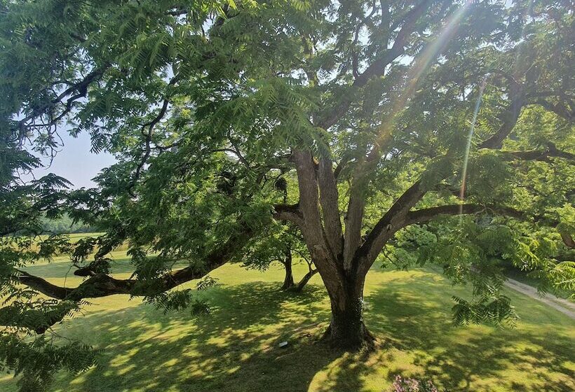 فندق Chateau De Razay