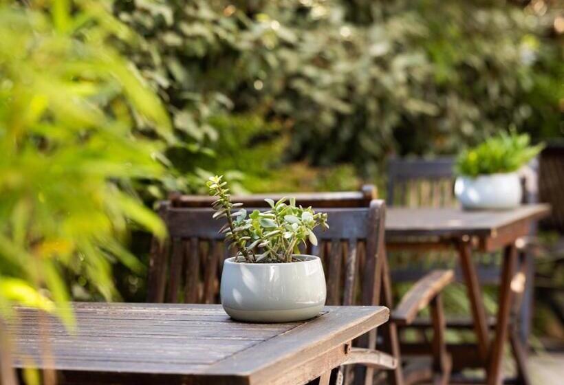 Отель Constellation