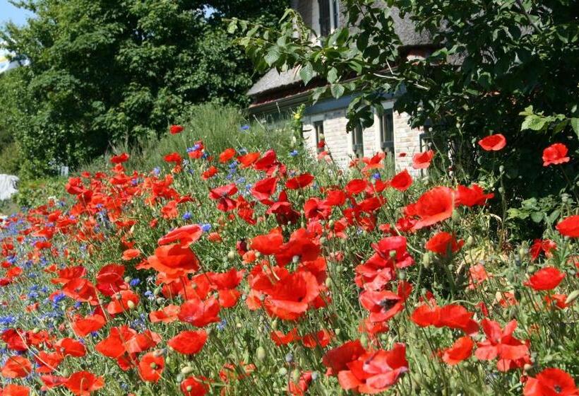 فندق De Branding