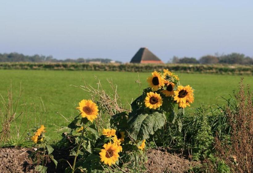 فندق De Branding