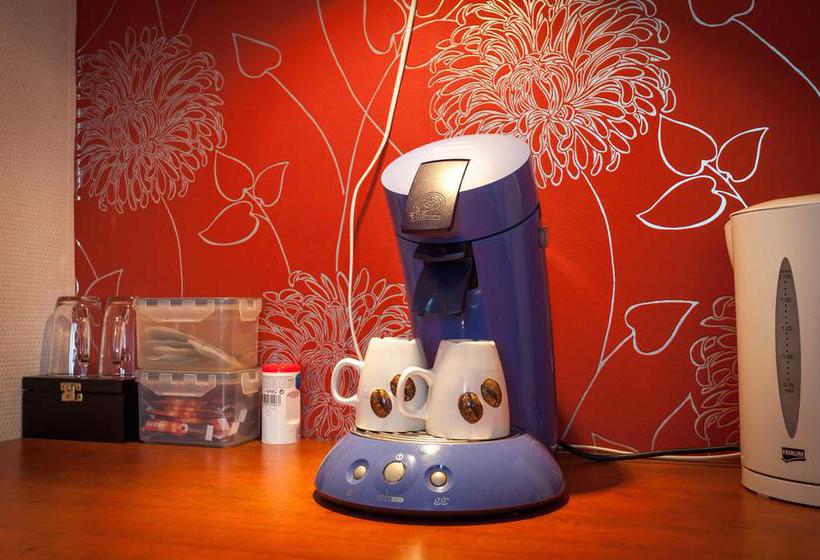 בית מלון כפרי De Stee