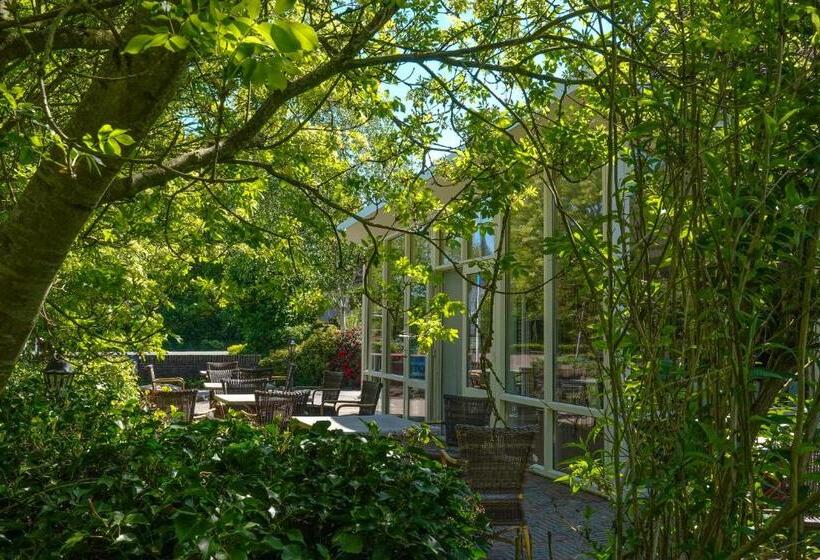 בית מלון כפרי Drouwenerzand