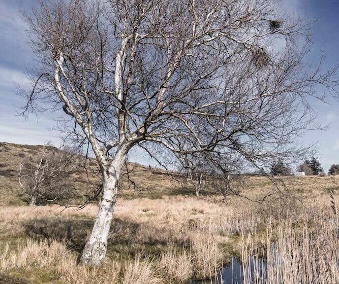 Badehotellet Havgaarden