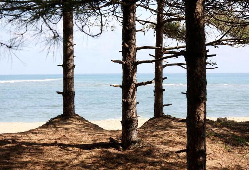 فندق Hôtel Le Vieux Gréement