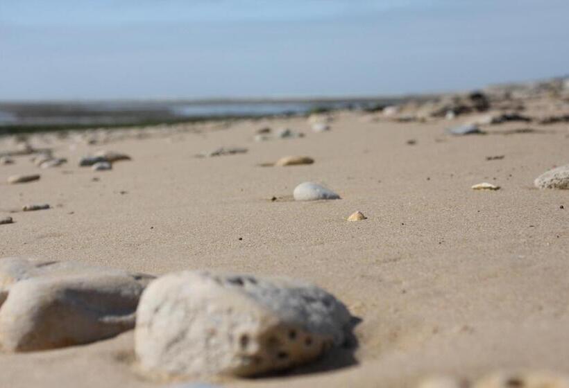 فندق Hôtel Le Vieux Gréement