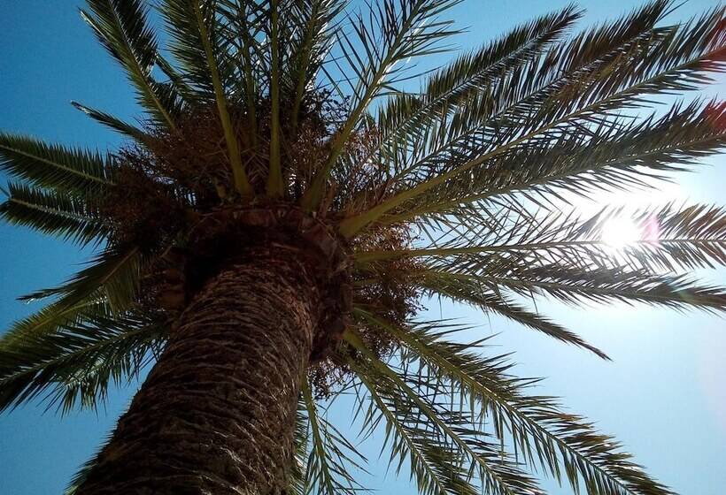 בית מלון כפרי Le Majestic Canet Plage