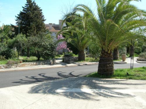 Отель Levolle Marine