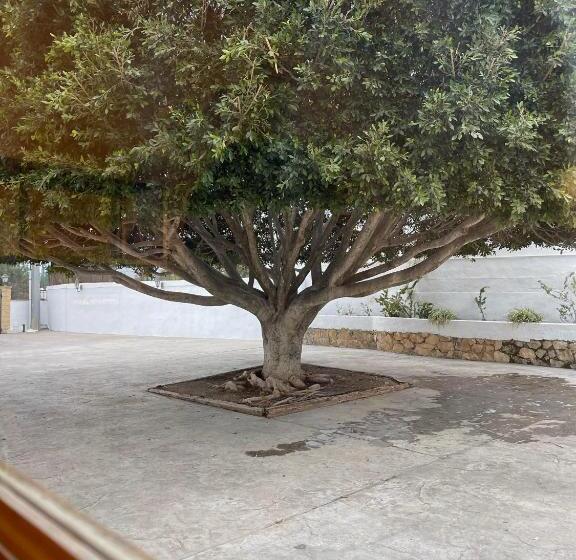 בית מלון כפרי Villa Morena