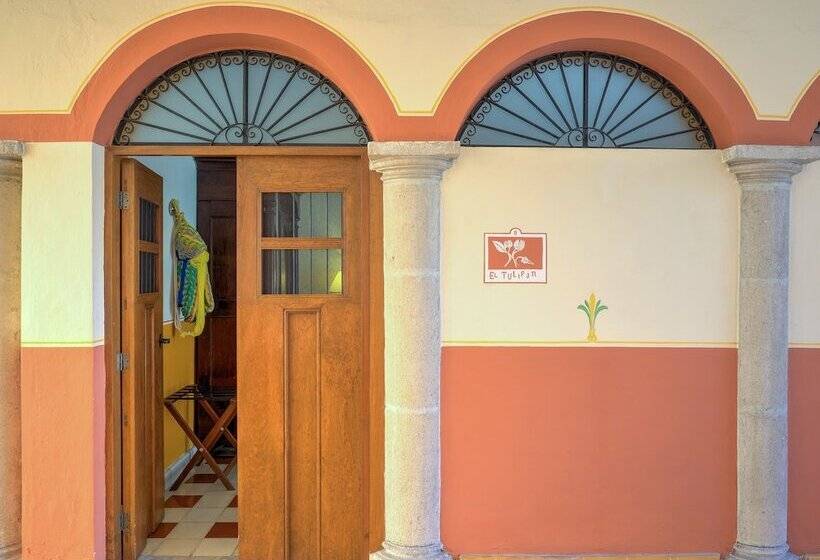 فندق Luz En Yucatan