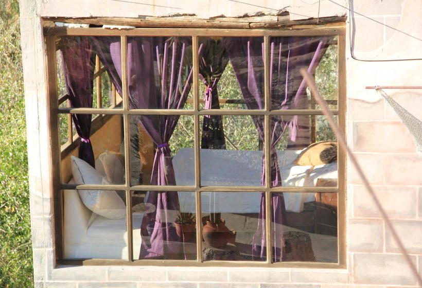 Отель Rincon Magico