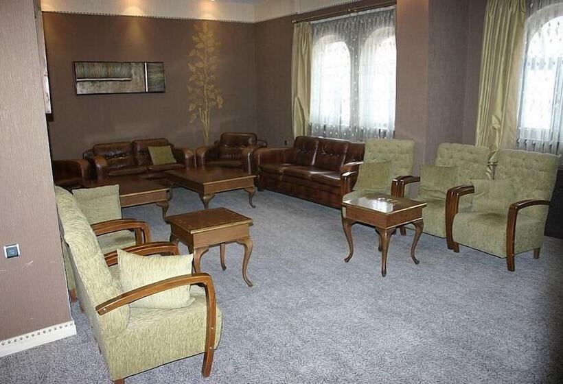 ホテル Sivas Buyuk