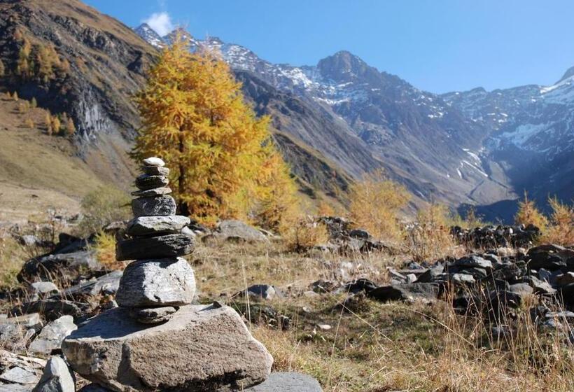 בית מלון כפרי Tenne