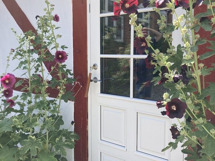 Jungshoved Præstegård B&b