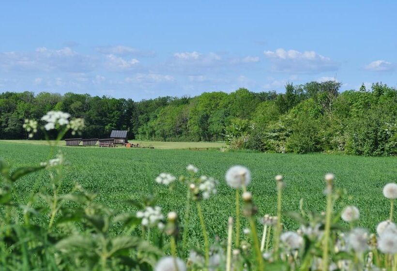 Koebenhovedskov Bed & Breakfast