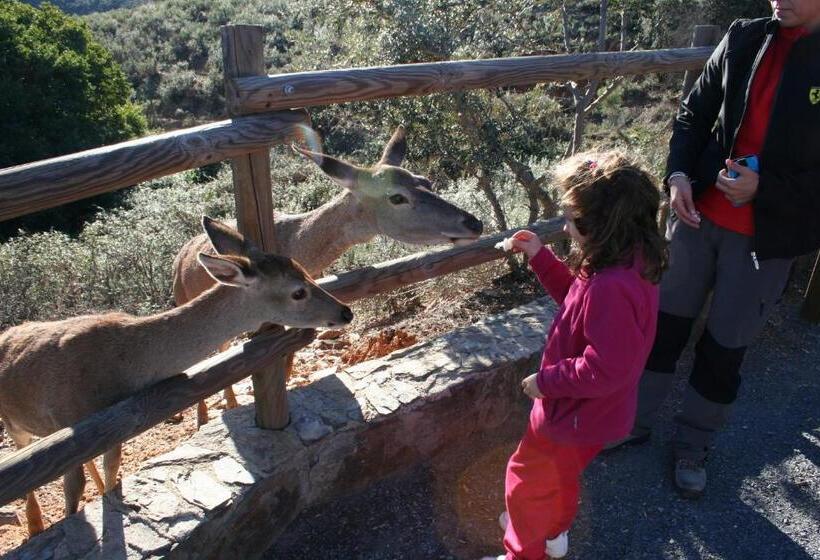 レジデンス Complejo Turístico Las Cañadas Casas De Campo  Actividades Gratuitas Todos Los Fines De Semana