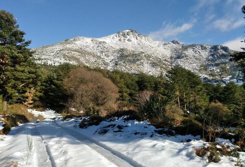 レジデンス Complejo Turístico Las Cañadas Casas De Campo  Actividades Gratuitas Todos Los Fines De Semana