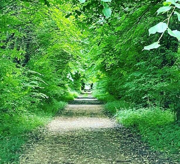 Skorstensfejerens Bed & Breakfast