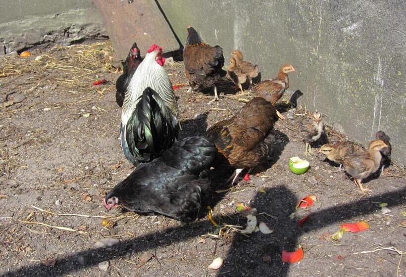 Vestervang Bed & Breakfast