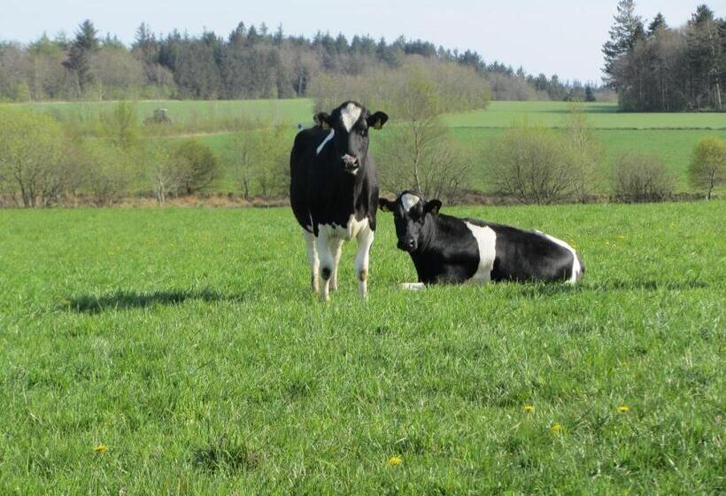 Vestervang Bed & Breakfast