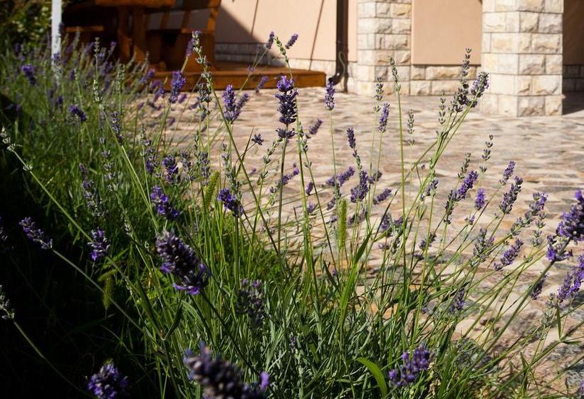 Bed & Breakfast Mario