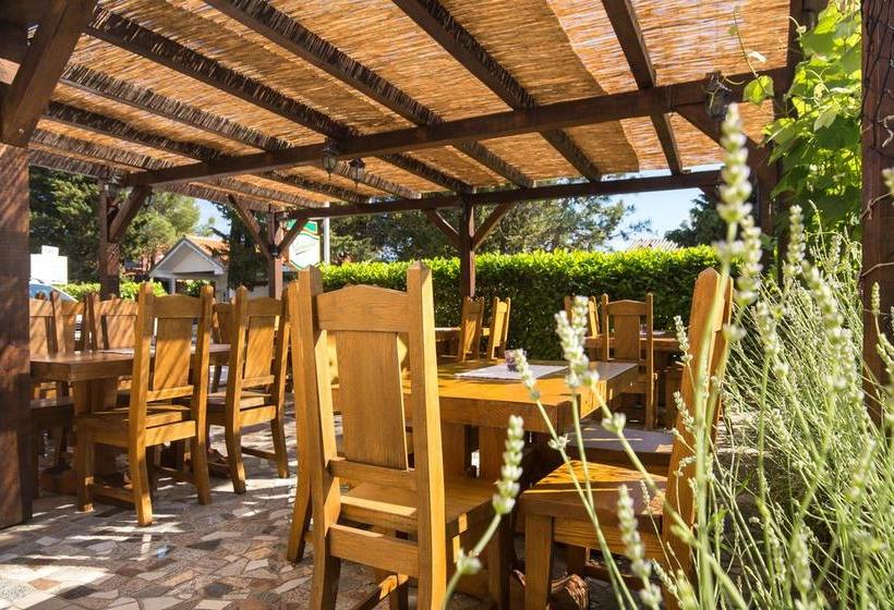 Bed & Breakfast Mario