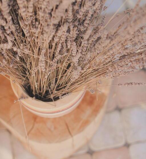 Bed and Breakfast Bed&breakfast Vanni