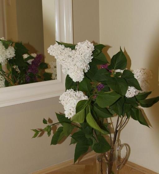 Bed and Breakfast Rooms Villa Aria